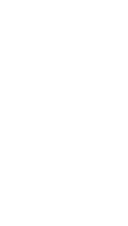 Secular Order of the Servants of Mary